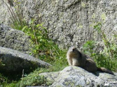 País de los Pirineos- Andorra; rutas para hacer senderismo rutas a pie por la pedriza rutas senderis